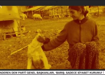 – GIMGIM DE DEWA MENGELÎ
– Nuray Atmaca İle Heqıbe Perperıkı