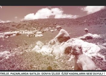 – GIMGIM DE TIRBEYA SEYYÎD NESEMÎ
– Nuray Atmaca İle Heqıbê Perperıkî