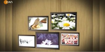 SÜLEYMAN TİK, SULTAN AYKUT, SİNAN BUDAK, DEMET AYKUT İLE TURNALAR