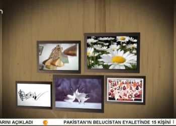 TURNALAR – HÜSEYİN TEPE İLE TURNALAR.