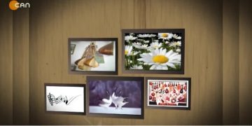 TURNALAR – HÜSEYİN TEPE İLE TURNALAR.