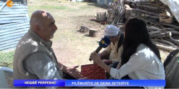 PILÊMURÎYE DE DEWA SETERÎYE, 
Nuray Atmaca İle Heqibê Perperikî.