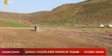 – DERSİM ŞAVAKLI KOÇERLERİN GÜNDELİK YAŞAMI
– PÜLÜMÜR / DERSİM
– Yaşamın İçinden