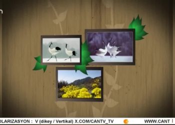 HÜSEYİN SUBAŞI (OZAN PELÜL) İLE TURNALAR