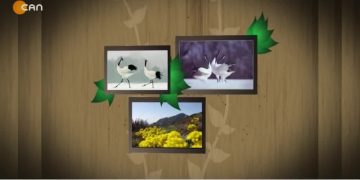 HÜSEYİN SUBAŞI (OZAN PELÜL) İLE TURNALAR