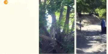 – JIYANE LI GUNDÊ MASTAN
– MAZGİRT / DERSİM
– Murat Onay İle Der Û Cîran