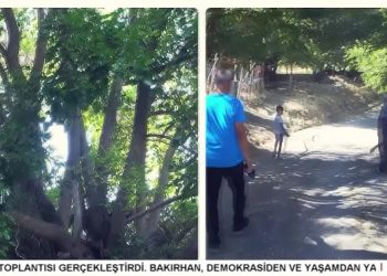 – JIYANA LI GUNDÊ ORMÎKİX
– PERTEQ / DERSİM
– Murat Onay İle Der Û Cîran