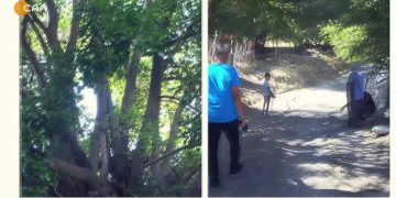 – JIYANA LI GUNDÊ ORMÎKİX
– PERTEQ / DERSİM
– Murat Onay İle Der Û Cîran