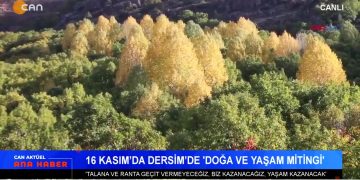 ROJİN KABAİŞ’İN ŞÜPHELİ ÖLÜMÜ, DEM PARTİ’DEN SURİYE TEZKERESİNE TEPKİ, Serpil Çelik Mert İle Can Aktüel Ana Haber