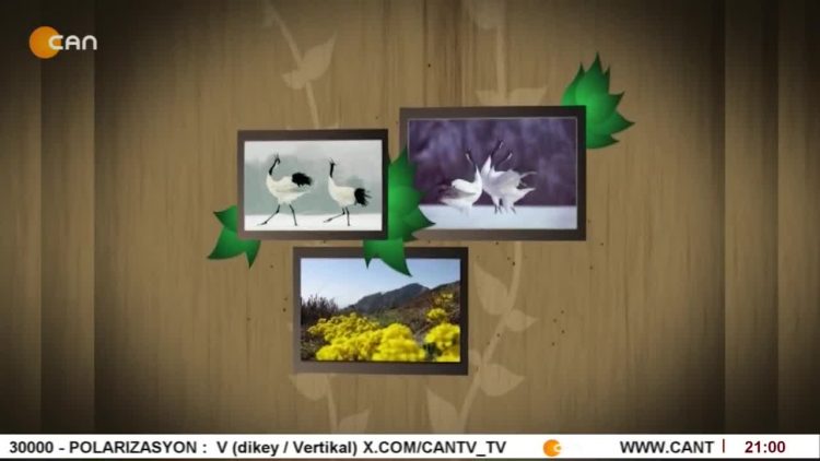 HÜSEYİN SUBAŞI (OZAN PELÜL) İLE TURNALAR