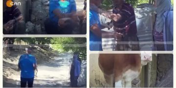 – JIYANA LE GUNDÊ ULUPAR
– Murat Onay İle Der Û Cîran