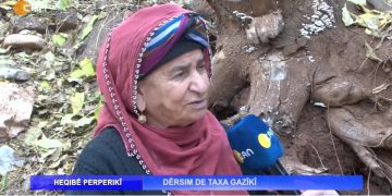 – DÊRSIM DE TAXA GAZIKÎ 
– Nuray Atmaca İle Heqibê Perperikî